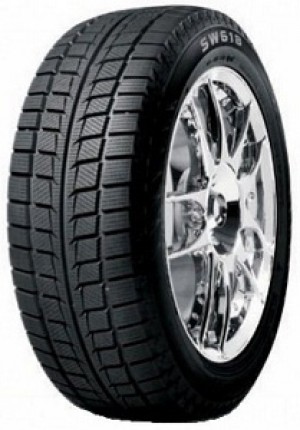 225/55 R16 Goodride SW618 95T
