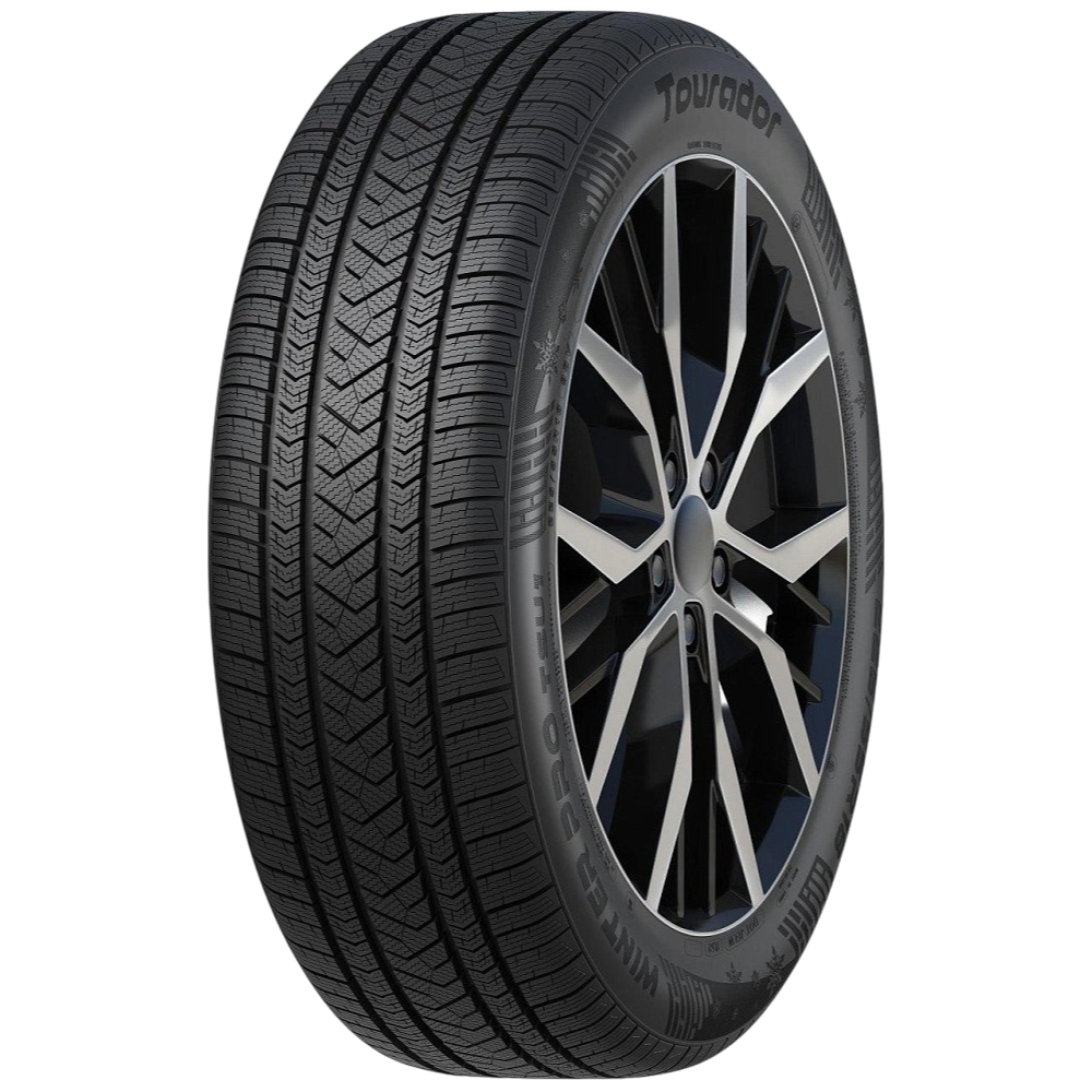 255/50 R19 Tourador Winter Pro TSU1 107V XL