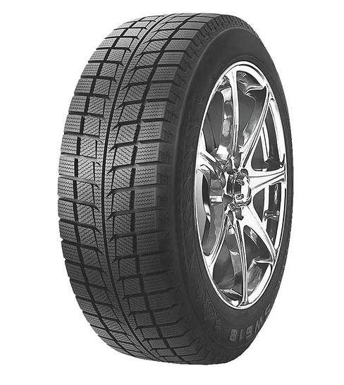 225/65 R16 WestLake SW618 100T