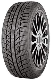 Шины GT Radial Champiro Winterpro