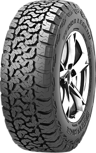 Летние шины 245/55 R19 WestLake Terra Legend SL-399 103T