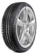 Летние шины 275/35 R20 Delinte DS7 Sport 106Y 