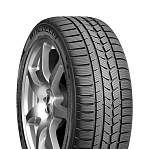 Зимние шины 225/55 R16 Roadstone Winguard Sport 99H XL  